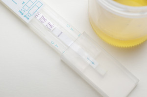 Urine test positive for THC