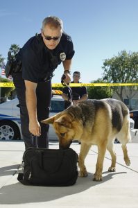 Police-dog-searching-luggage-199x300