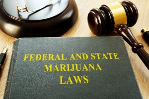 Marijuana-Laws-book-300x200